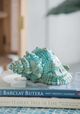 A & B Home Seafoam Green Decorative Seashell Accent-2