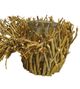 A & B Home Brown 17" Planter with Glass-1