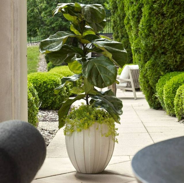 Uttermost® Ridgehaven White Ceramic Indoor-Outdoor Planter-1