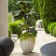 Uttermost® Ridgehaven White Ceramic Indoor-Outdoor Planter-1