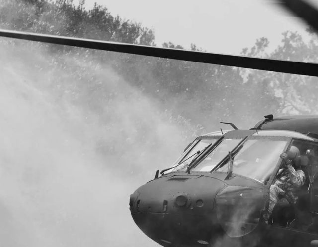 Classy Art Black Hawk Wall Art-2