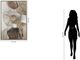 Classy Living Wildhearted Ethereal Whispers II Wall Art-2