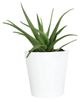 CabanaCoast® Customizable York Aluminum 24" Medium Outdoor Round Planter-1