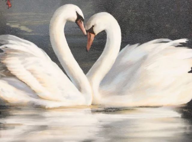Stylecraft Swan Lake No Flowers Wall Art-1