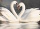 Stylecraft Swan Lake No Flowers Wall Art-1