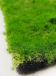 Le Present Green 10" Artificial Moss Tile-2