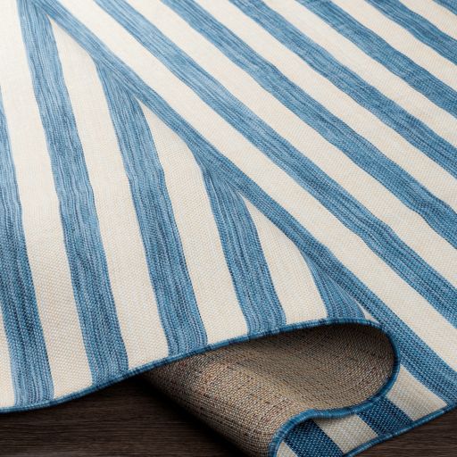 Surya Pasadena Denim/Cream 8'x11' Area Rug-3