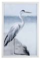 Bassett Mirror Marine Life Wall Art-0