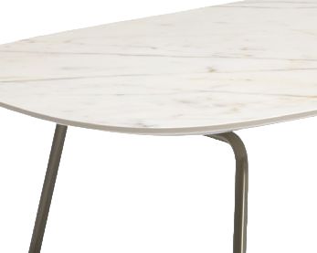 Natuzzi Editions Low Calacatta Gold Rectangular Coffee Table-1