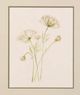 StyleCraft Blush Lace Beige/Light Green/Light Orange Wall Art-1