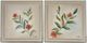 Crestview Flora Y Flora 2-Piece Wall Art Set-0