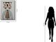 Classy Living Contemplative Professor Beagle Chic Wall Art-2