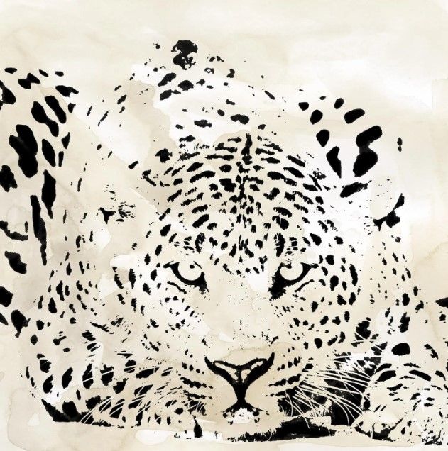 Classy Art Leopard Spots III by Carol Robinson Wall Art-0