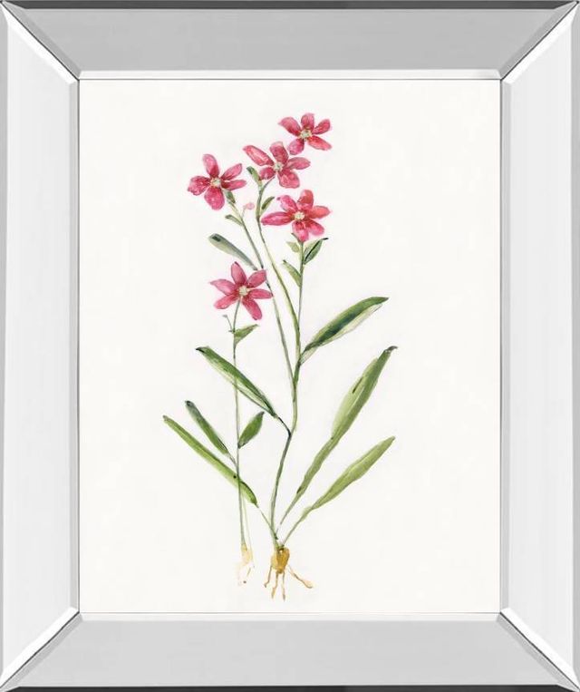 Classy Art Delicate Pink II by Sally Swatland Wall Art-0