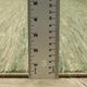 Oriental Weavers™ Reed 5'x8' Style 9 Area Rug-2