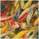 Furniture of America® Koi Printed Canvas Painting-1