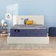 Serta® Perfect Sleeper® Cardona 14.5" Wrapped Coil Plush Tight Top Twin Mattress-1