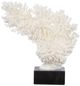 A & B Home White Coral Decorative Object-0