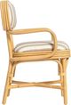 TOV Furniture Dorine Beige/Khaki/Natural Dining Arm Chair-4