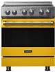 Viking® 3 Series 30" Daffodil Pro Style Induction Range-0