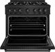 ZLINE Classic 36" Black Stainless Steel Pro Style Dual Fuel Range-1