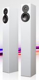 Totem Acoustics High-Fidelity Floor Standing Speaker-3