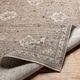 Surya Carlisle Sage 4'x6' Area Rug-4