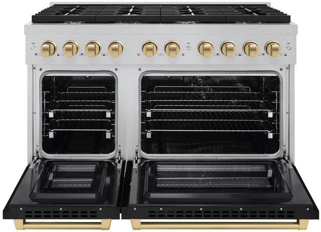 ZLINE Autograph Edition Paramount 48" Satin Stainless Steel Pro Style Dual Fuel Range with Black Matte Door and Champagne Bronze Accents-1