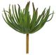 A & B Home Green Faux Stonecrop Succulent Stem-0
