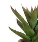 A & B Home Green Potted Faux Black Prince Succulent-1