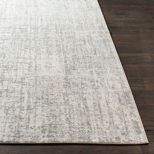 Surya Aisha Light Gray 9'x12' Area Rug-3