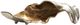 Crestview Collection Willow Gold Small Sculptural Leaf II-0