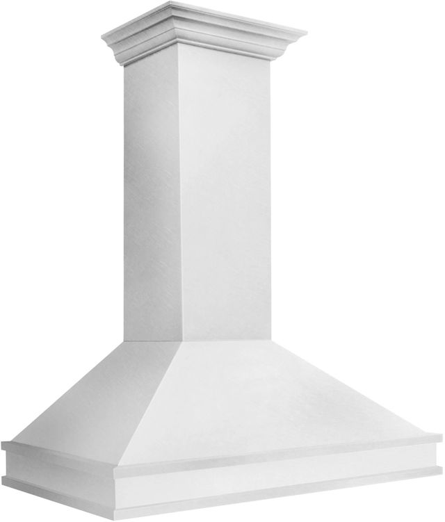 ZLINE Designer Series 48" Satin Stainless Steel Outdoor Wall Mounted Range Hood-0