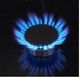 American Range Medallion Series 48" Stainless Steel Pro Style Gas Range-1