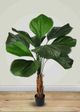 Le Present Licuala Green 54" Faux Botanical Grandis-5