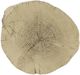 ACME Furniture Gene Natural Brown Accent Table-4