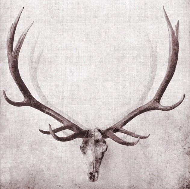 Classy Art Open Range I by John Butler Wall Art-0