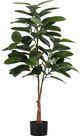 Monarch Specialties Inc. Green/Black 52" Tall Artificial Potted Rubber Tree-0