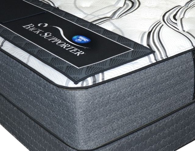Spring Air® Back Supporter Dixon 13.5" Innerspring Plush Tight Top Queen Mattress-1