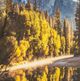 YHD Morning in Paradise Wall Art-5