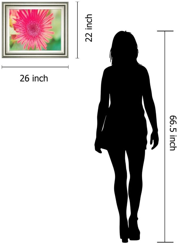 Classy Living Susan Bryant Pink Gerbera 26"W Wall Art-2