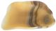 A & B Home Eduardo Beige/Black Hand-Carved Zebra Onyx Bowl-0