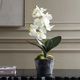 Uttermost® Laris Black/Green/White Orchid-1