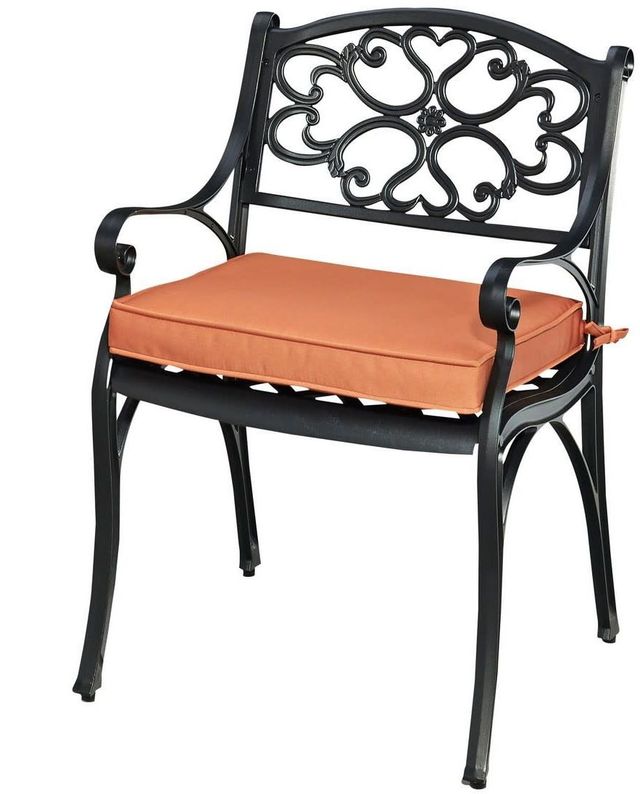homestyles® Sanibel 2-Piece Black Outdoor Chairs with Cushions-0
