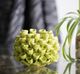 A & B Home Green Open Coral Candle Holder-2