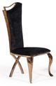 VIG Furniture Modrest Bonnie 2-Piece Black/Rosegold Dining Chair Set-0