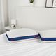 BEDGEAR® U*Nite Performance® Standard Bed Pillow-2