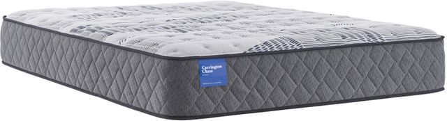 Sealy® Carrington Chase Wensley 12" Innerspring Firm Tight Top Twin Mattress-0