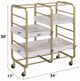 ACME Furniture Vorrik Gold/White Washed Serving Cart-2