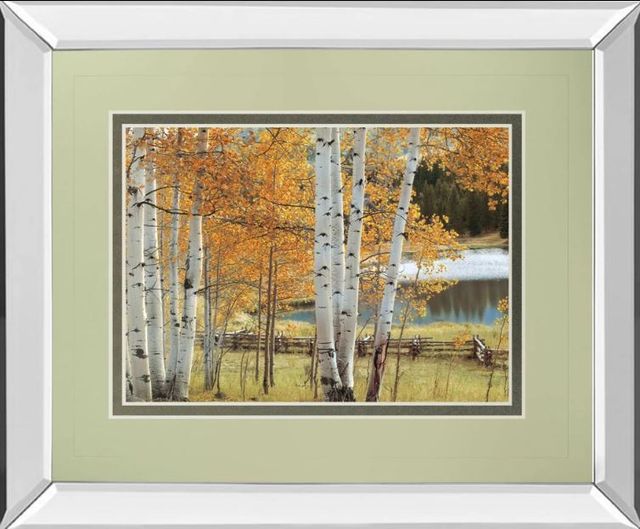 Classy Art Birch Beauty by Mike Jones Mirror Framed Wall Art-0